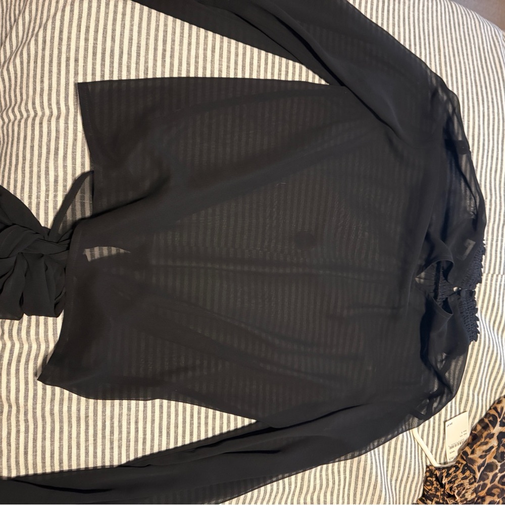 Express Black Sheer Blouse with Button Detail